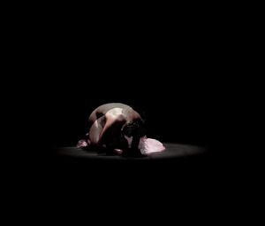 Naked Asian Art Performance -009