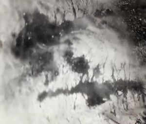 Nude Asian Public Theatre-6