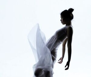 Nude Asian Theatre - Nude Performance