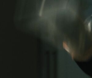 Megan Brown nude - Mr. Brooks (2007)