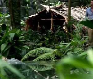 Isabell Gerschke nude - Fluss des Lebens - Verloren am Amazonas (2013)