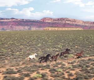 Kim Kardashian nude - Bound 2 (2013)