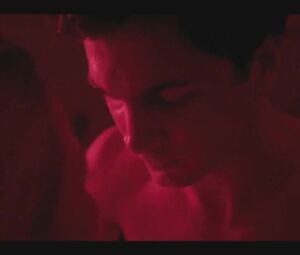 Alexandra Schmidt - Agonie (2016)