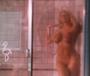 Anna Nicole Smith Nude - To the Limit (1995)