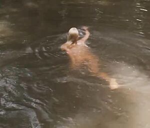 Daryl Hannah & Kathy Bates naked - At Play in the Fields of the Lord (1991)