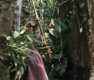 Daryl Hannah & Kathy Bates naked - At Play in the Fields of the Lord (1991)