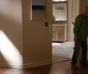 Camilla Luddington sex scene - Californication S05 (2012)