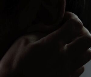 Carice van Houten nude - Black Butterflies (2011)