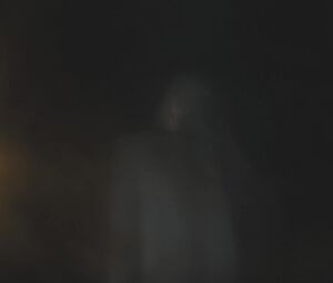 Carice van Houten nude - Game of Thrones S06E01 (2016)