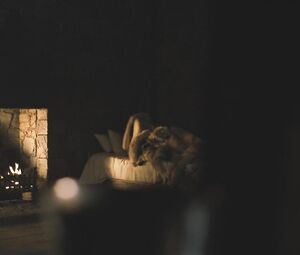 Carice van Houten nude - Game of Thrones S06E01 (2016)