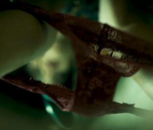 Carolina Bang, Macarena Gomez naked- Las brujas de Zugarramurd (2016)