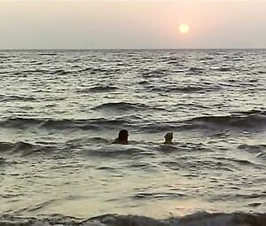 Claudine Bird - Summer Night Fever (1978)