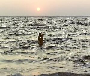 Claudine Bird - Summer Night Fever (1978)