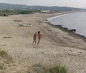 Claudine Bird - Summer Night Fever (1978)