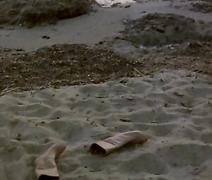 Claudine Bird - Summer Night Fever (1978)