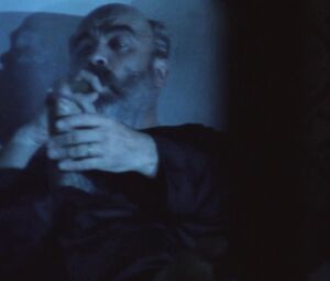 Cristina Garavaglia - Hairy Pussy Close-Up