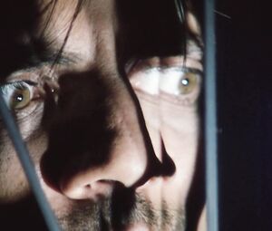 Cristina Garavaglia - Hairy Pussy Close-Up