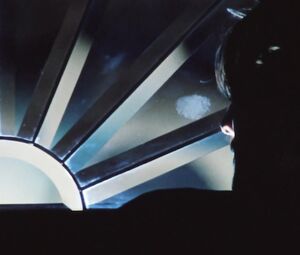 Cristina Garavaglia - Hairy Pussy Close-Up