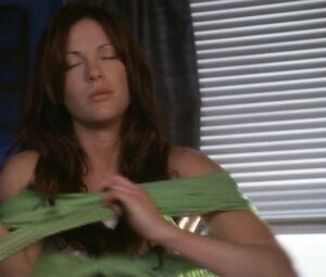 Danneel Harris nude - Ten Inch Hero (2007)