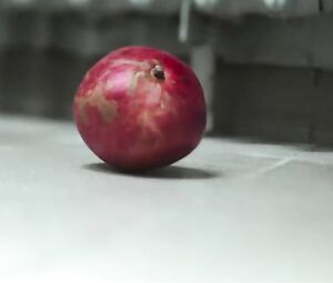 Victoria Schulz - Dora oder Die sexuellen Neurosen unserer Eltern aka Dora or The Sexual Neuroses of Our Parents (2015)