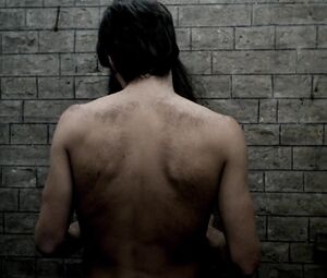 Francoise Pascal - La Rose de fer (1973)