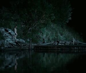 Irina Starshenbaum - Black Water (2017)