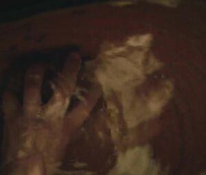 Karoline Schuch - Katharina Luther (2017)