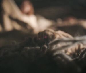 Karoline Schuch - Katharina Luther (2017)