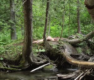 Laura Bilgeri Nude - The Recall (2017)