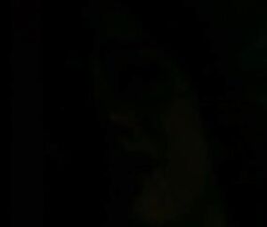 Naked Amanda Ryan - The Hunger (1997)