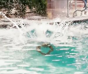 Naked Sophie Monk Sexy - Date Movie (2006)