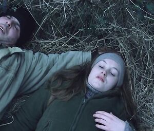 Naked Adélaïde Leroux Nude - Flandres (FR 2006)