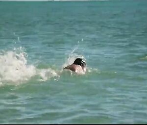 Naked Alyson Best, Deborah Gray Nude - Pacific Banana (AU 1981)