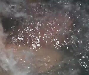 Naked Angel Tompkins Nude, Kathleen Wilhoite (nn), etc - Murphys Law (1986)