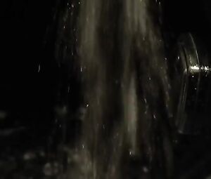 Naked Alison Pill Nude - Zoom (2015)