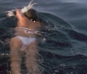 Naked Alexandra Paul Sexy - Baywatch Hawaiian Wedding (2003)