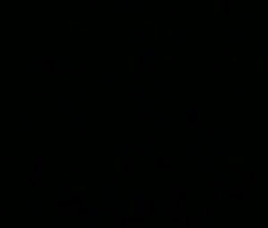 Naked Sean Young Nude - Men (1997)