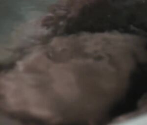 Naked Carole Weyers, Rachel Brosnahan, Alexia Fast Sexy - Manhattan s01-02 (2014)