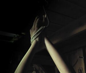 Sexy Luciana Faulhaber, Hailey Heisick nude - Don't Look (2018)