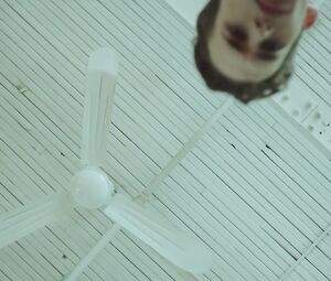 Nude Jasmina Lukanovic - Pool (2015)