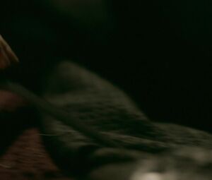 Nude Alicia Agneson - Vikings s05e12 (2017)