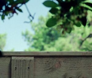 Sexy Lea Nataf - Fin de saison (2011)