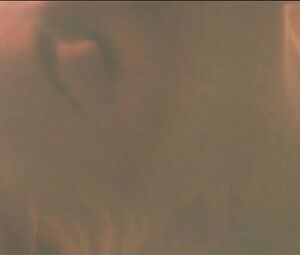 Nude Merle Wasmuth - Die Statue, die mir wuchs (2019)