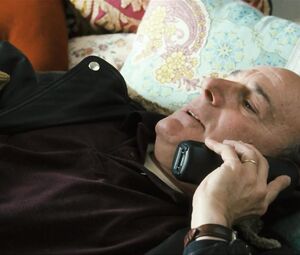 Nude Laura Linney - The Savages (2007)