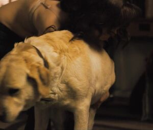 Nude Laura Linney - The Savages (2007)