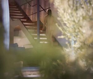 Nude Andrea Flowers - The Lemon Tree (2019)