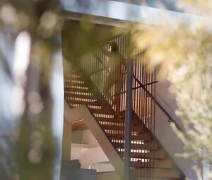 Nude Andrea Flowers - The Lemon Tree (2019)