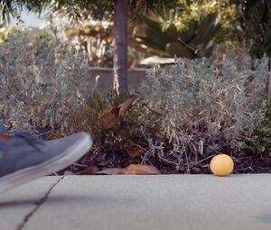 Nude Andrea Flowers - The Lemon Tree (2019)