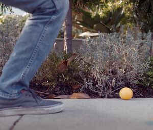 Nude Andrea Flowers - The Lemon Tree (2019)