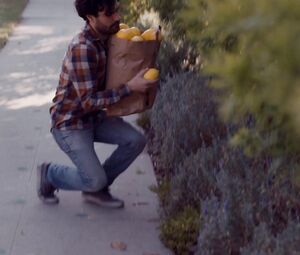 Nude Andrea Flowers - The Lemon Tree (2019)